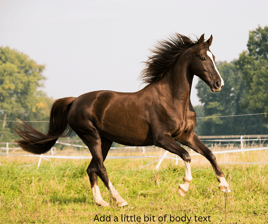 Buggy Boy Test Post